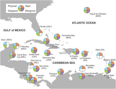 The CARICOMP Network of Caribbean Marine Laboratories (1985–2007): History, Key Findings, and Lessons Learned